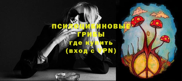 хмурый Алзамай