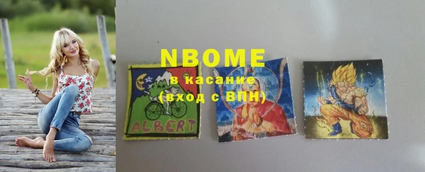 хмурый Алзамай