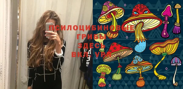 хмурый Алзамай