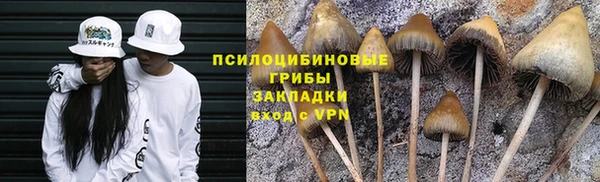каннабис Алексеевка